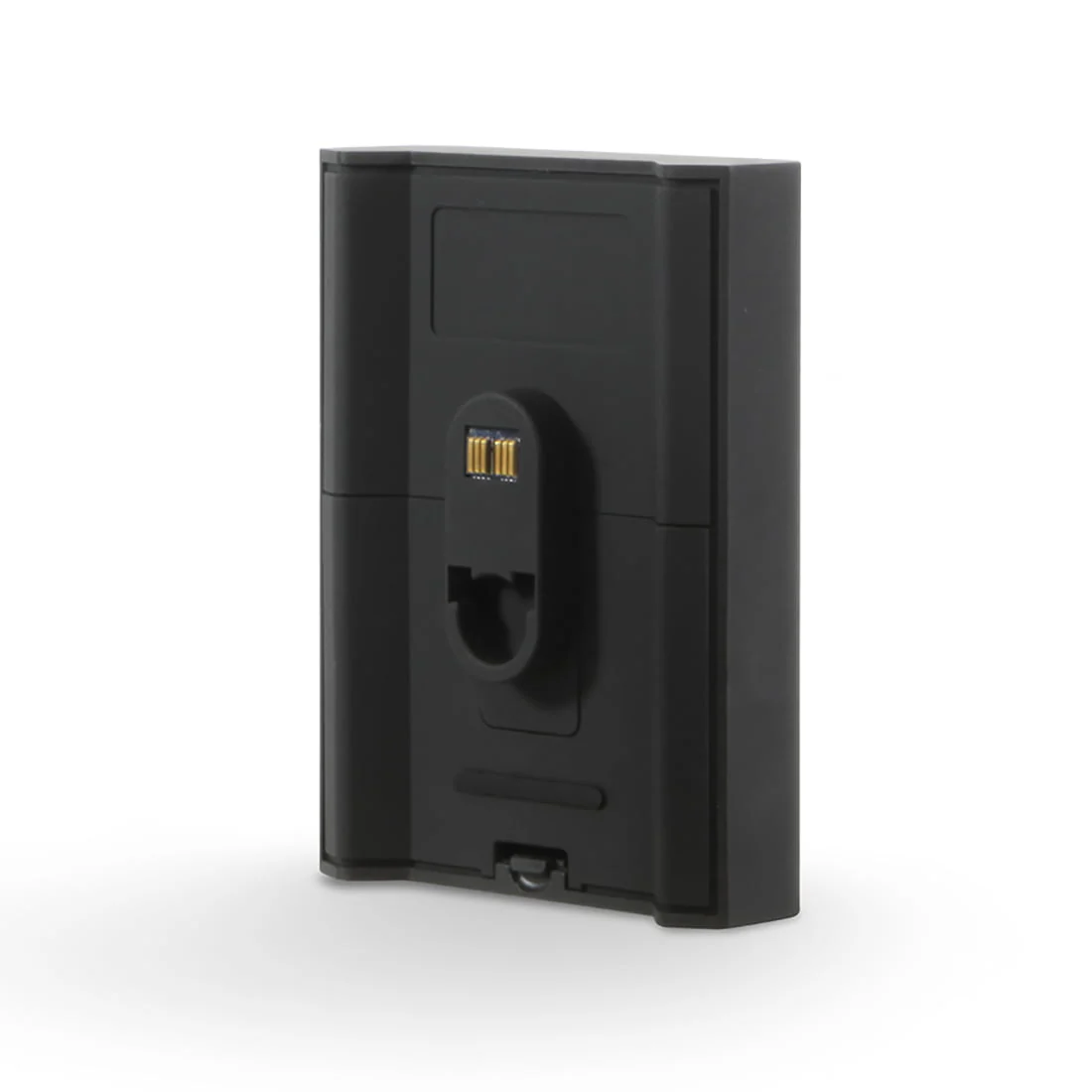Bluesound BP100 Pulse Flex Battery Pack (BP100 BLK)