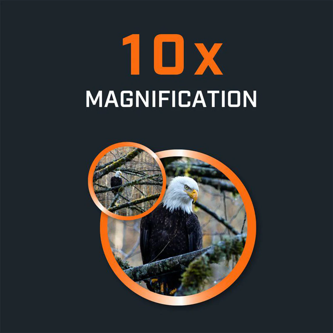 Bushnell 15-0142R H2O 10x42 Roof Prism Waterproof Binoculars (150142R) - Image 13