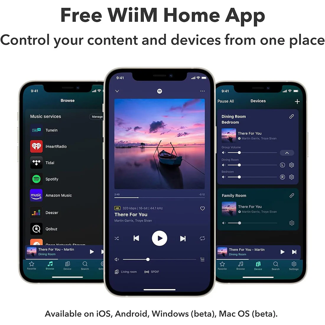 WiiM Pro: AirPlay 2 Receiver, Google Cast Audio, WiFi Multiroom Streamer - Image 9
